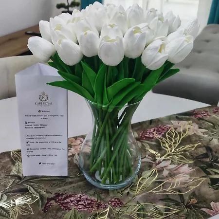 Kapi Royal